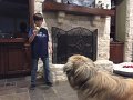 Alex_MooseDiscoversPool (8)
